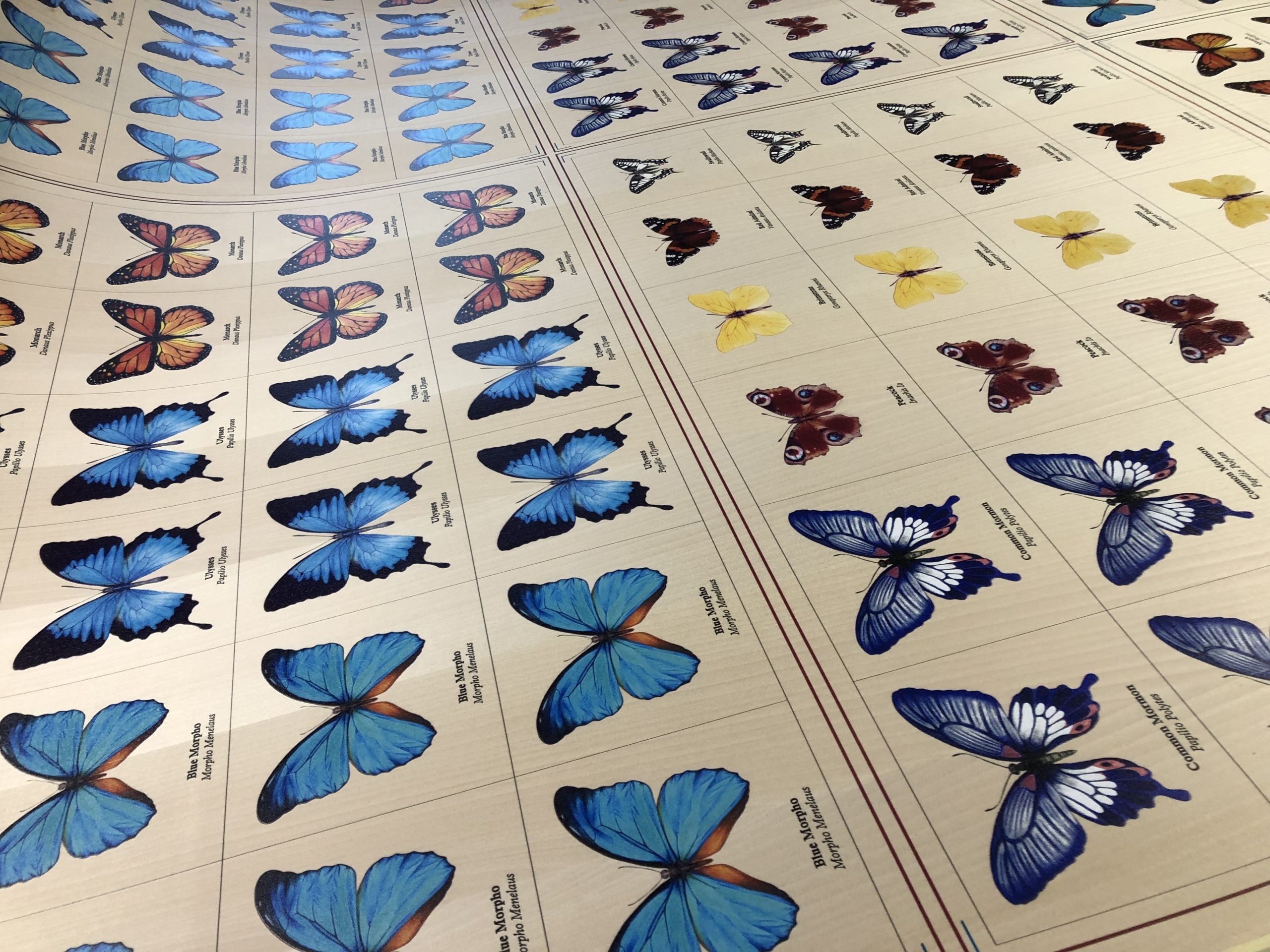 Butterflies printed on wood veneer