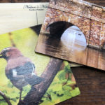 Bamboo-wooden-printed-postcards