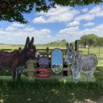 Donkey Sanctuary