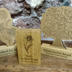 Various shaped wooden bespoke trophy and award