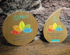 Colourful Oak wood bespoke trohpies