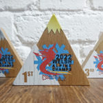 Snow Sports Wales Trophies Awards made from wood