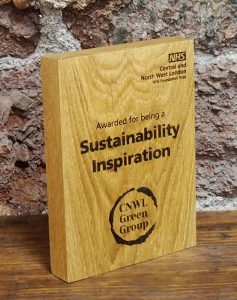 Timber Development Diversity Award