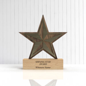 Gold metallic star trophy on solid oak base with personalised award text